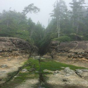 Meet your Posher, Dave